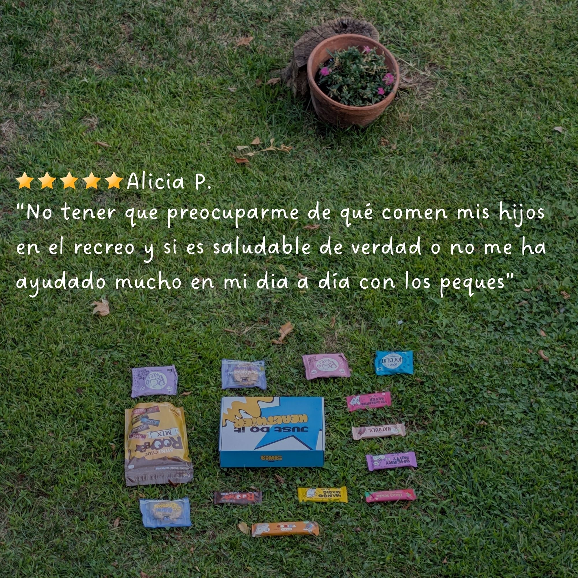 BIMBI BOX "Recreo del Cole"