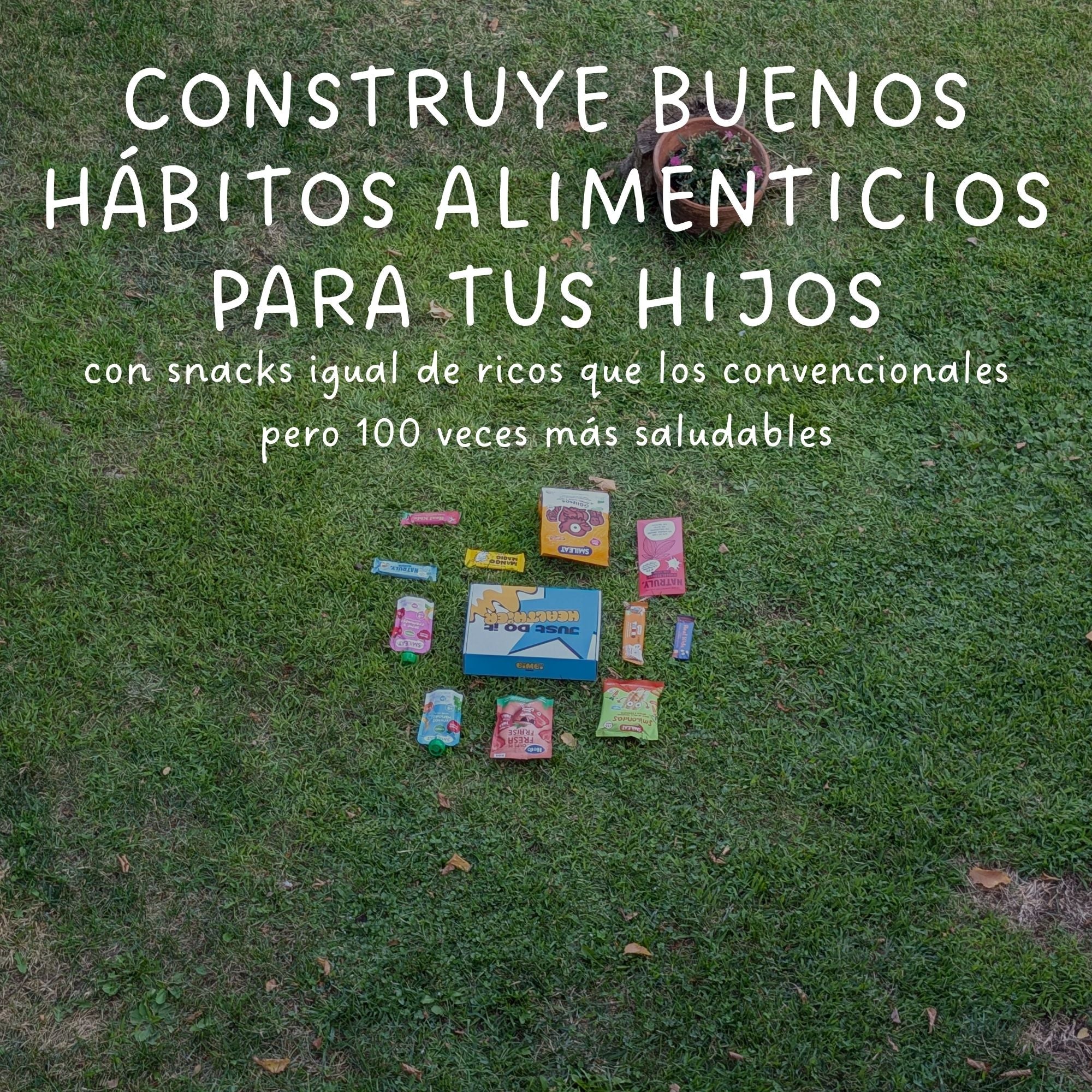BIMBI BOX "CERO Azúcares Añadidos"