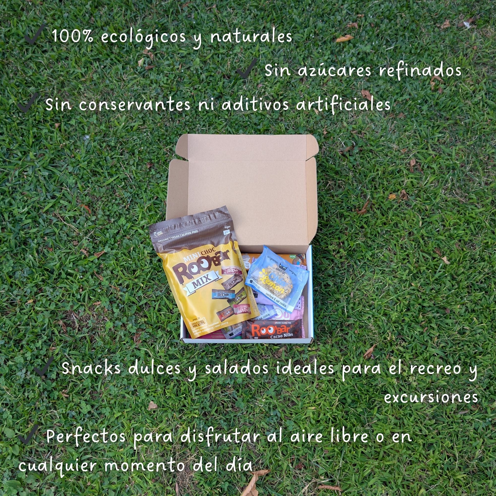 BIMBI BOX "Recreo del Cole"